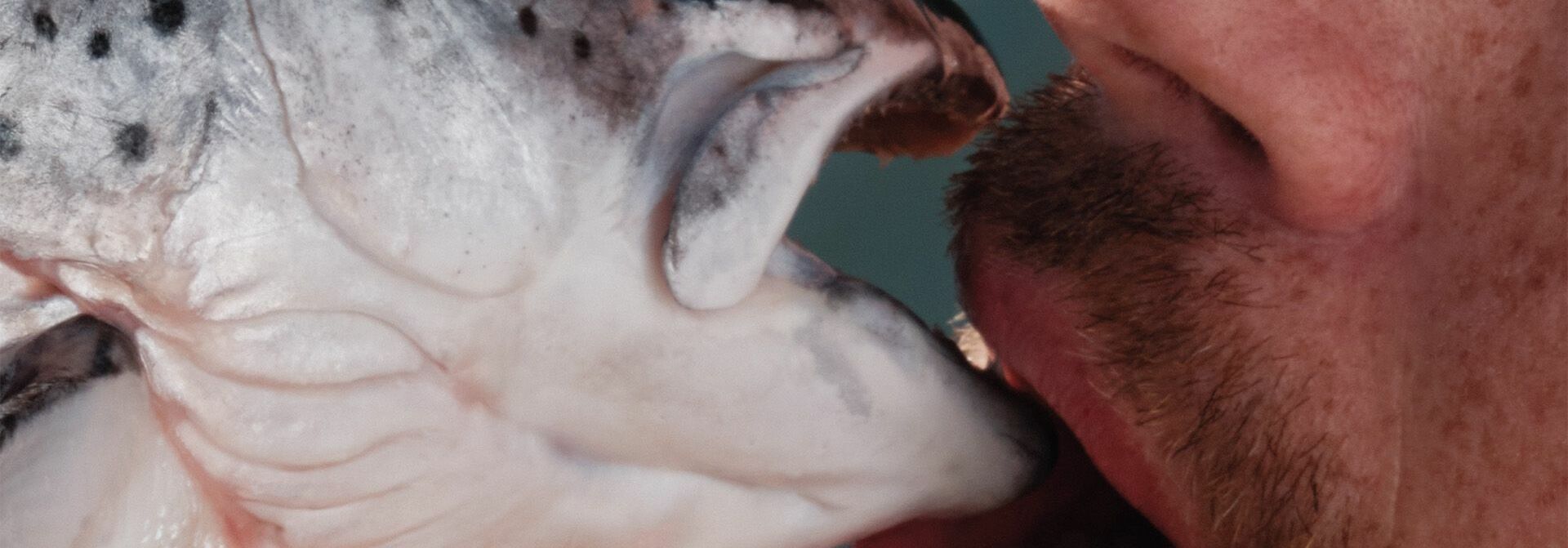 Afbeelding van de voorstelling: Een speurhond klimt in donkere, grote ruimte op dozen bananen en ruikt hier aan. Er staat een loods vol van deze dozen bananen op elkaar gestapeld.